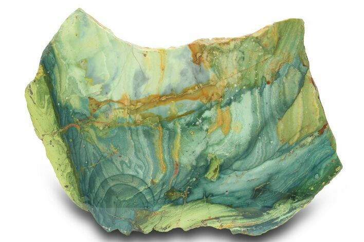 Gary Green Jasper (Larsonite) Bog Wood Slab - Oregon #299311